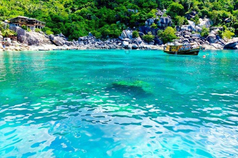 熊出没水果大陆2
